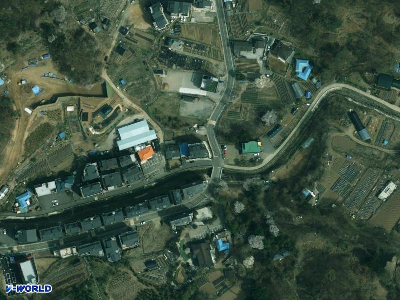 헷세드 항공사진