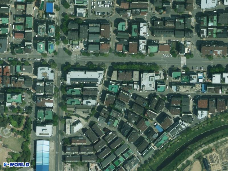 더 라이프 항공사진