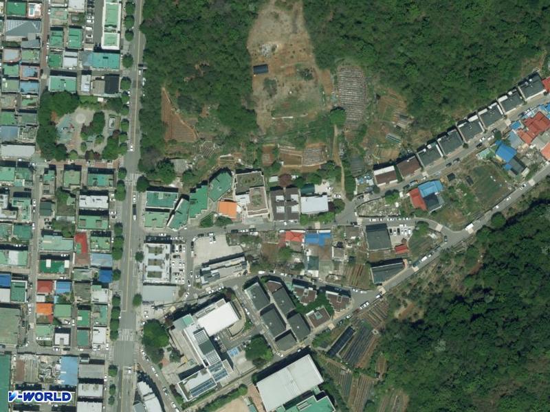 포레스트 빌 항공사진