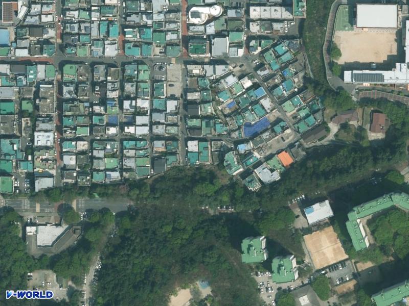배산 항공사진