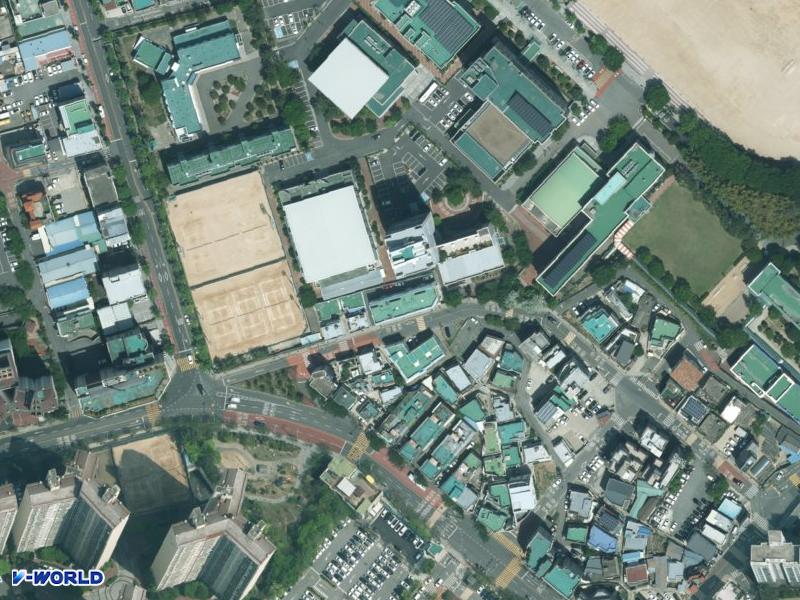 대조 항공사진