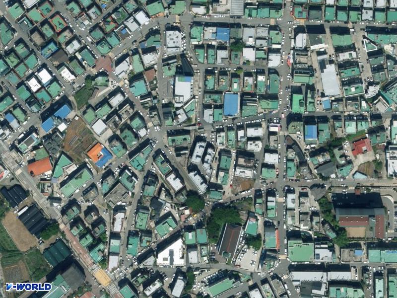 동도빌리지 항공사진