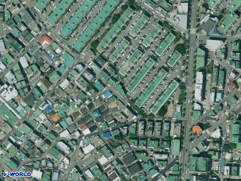 다세대 항공사진