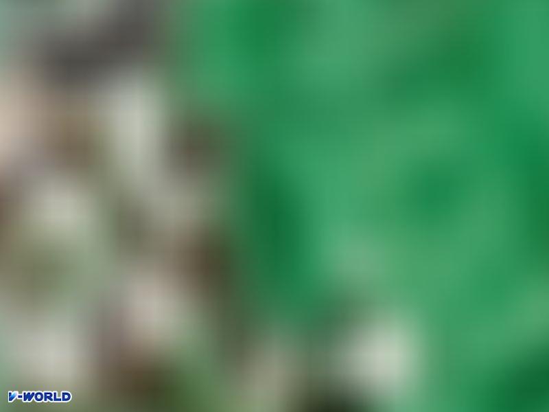 풍산사택 항공사진