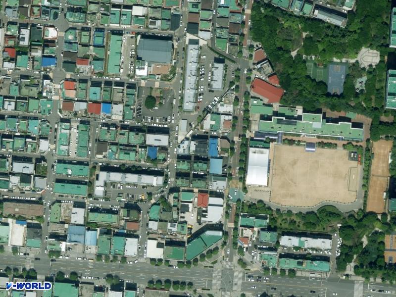 라임하우스 항공사진