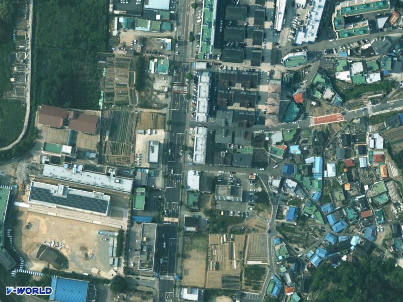 덕성 항공사진