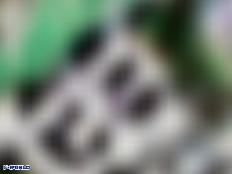 문산당동주공2단지 항공사진
