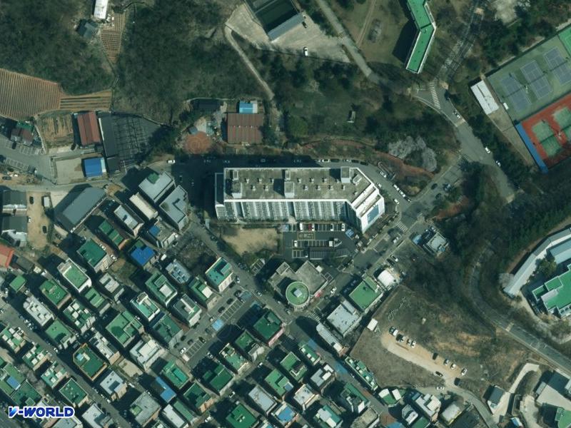 신라 항공사진