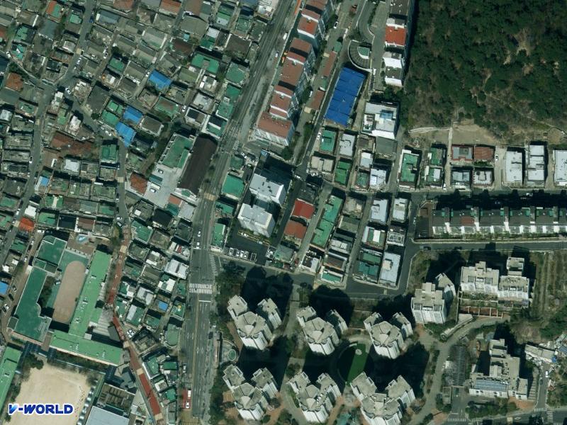 신우 항공사진