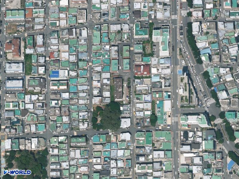 삼성사원 항공사진