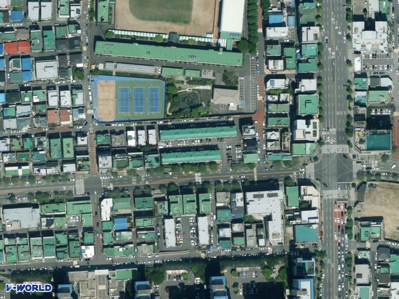 신라 항공사진