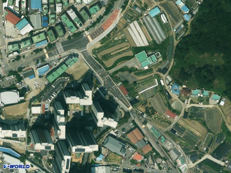 인정프린스 항공사진
