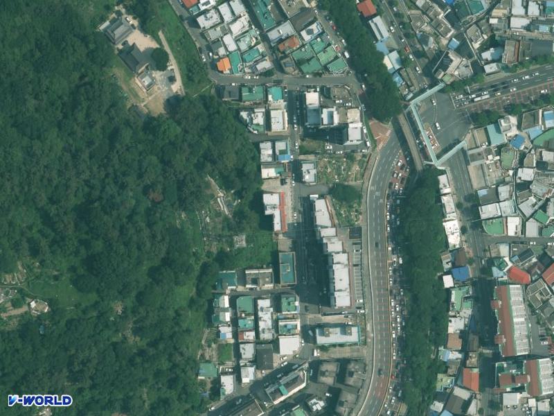 신우 항공사진