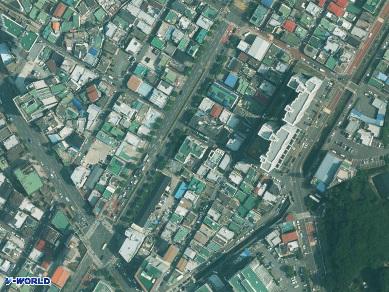동남 항공사진