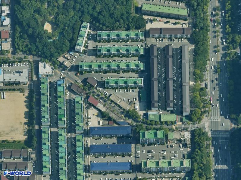 신일 항공사진