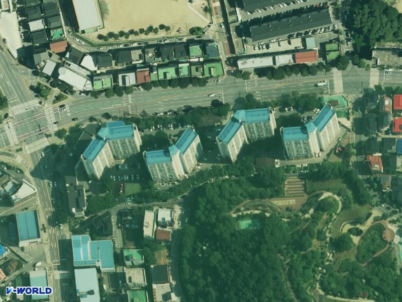 비둘기 항공사진