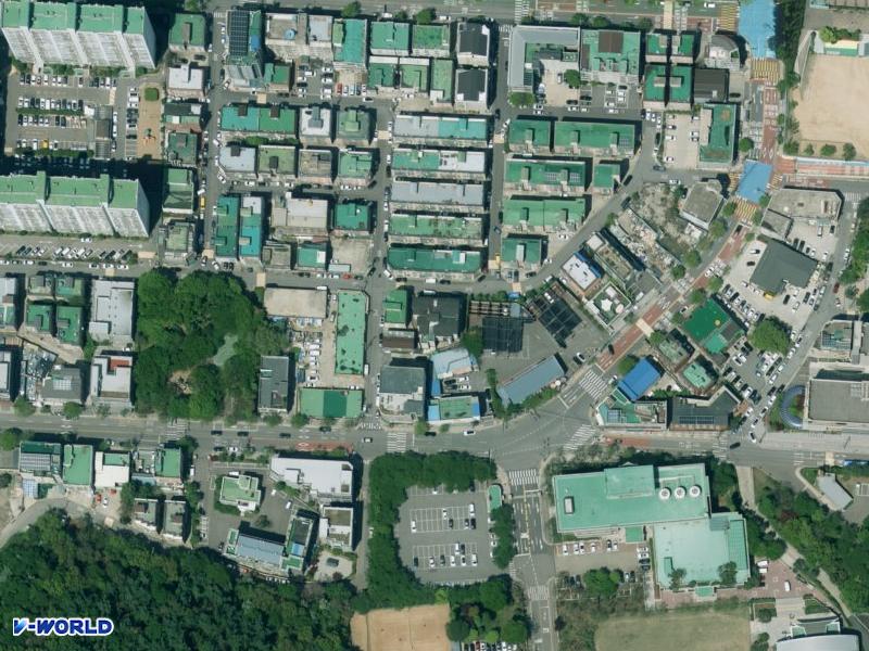 베스트 프랜디 항공사진
