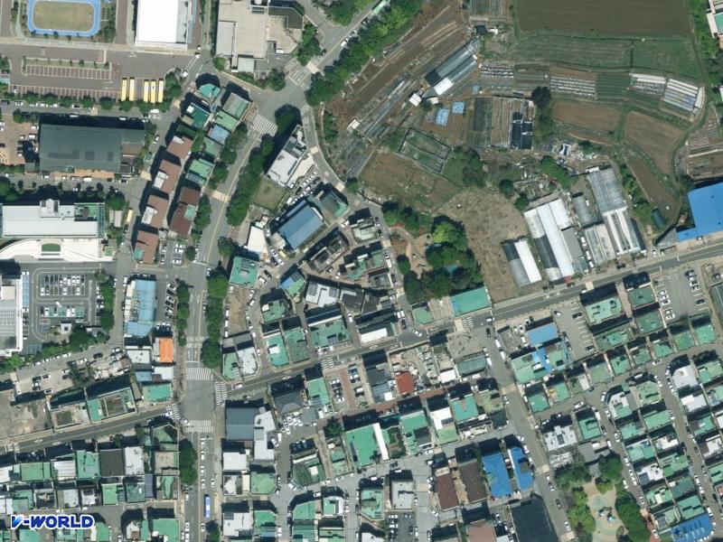 대덕빌라(1095-1) 항공사진