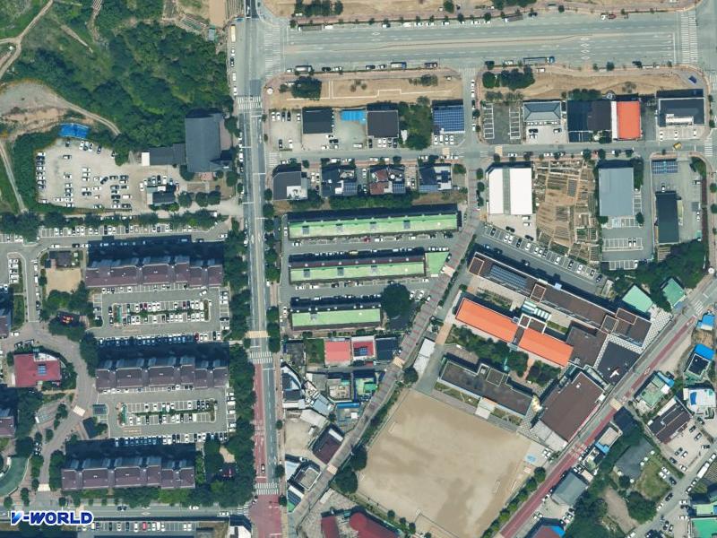 신라 항공사진