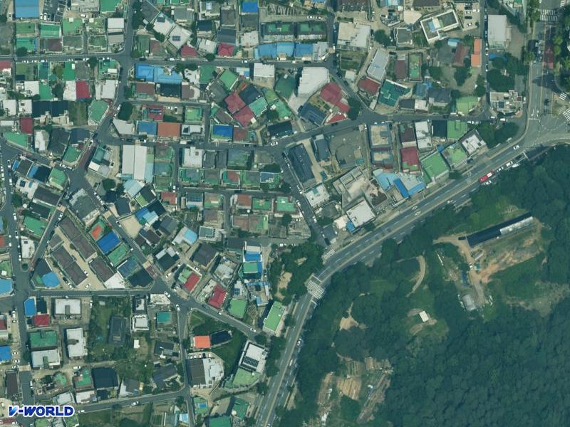 대신(500-46) 항공사진