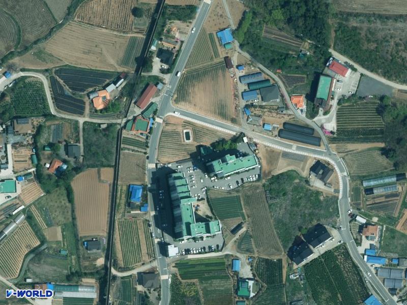 서산 개나리 항공사진