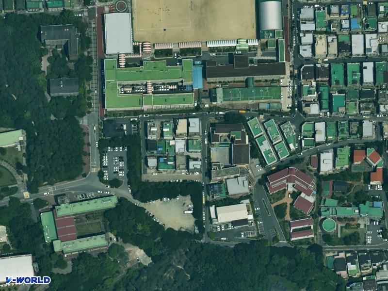 거성맨션(242-8) 항공사진