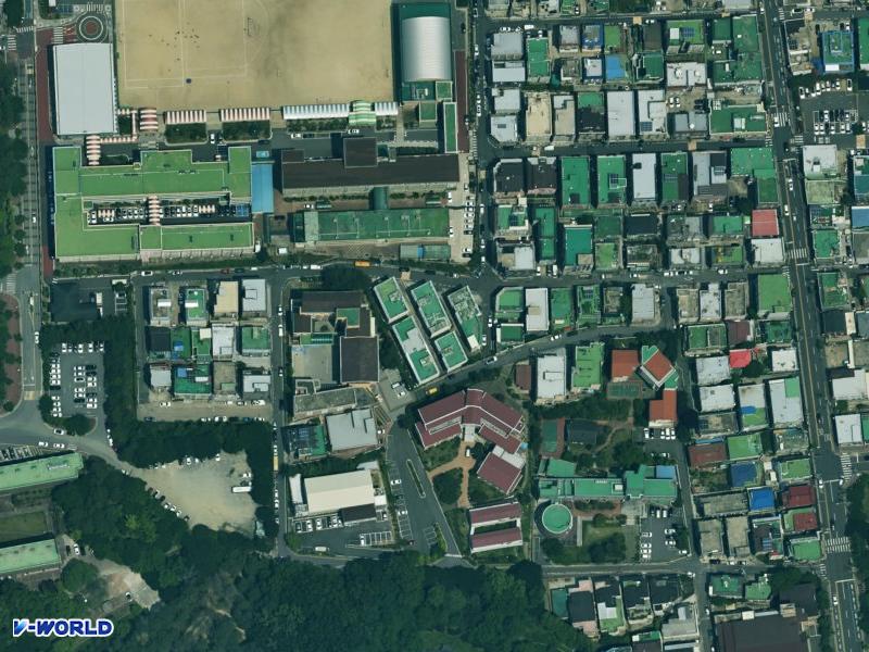 초원빌라(243-50) 항공사진