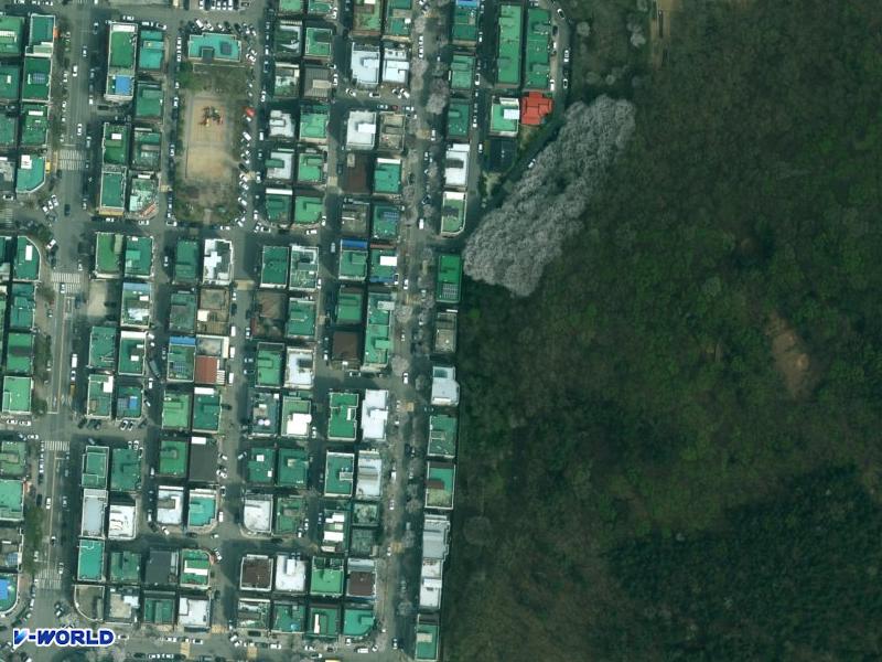 에덴빌라(858-1) 항공사진
