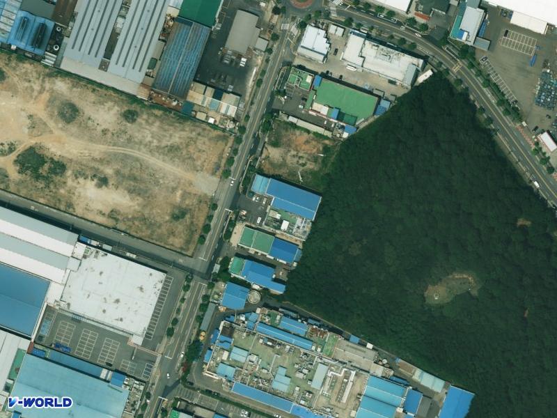 장미(606-2) 항공사진