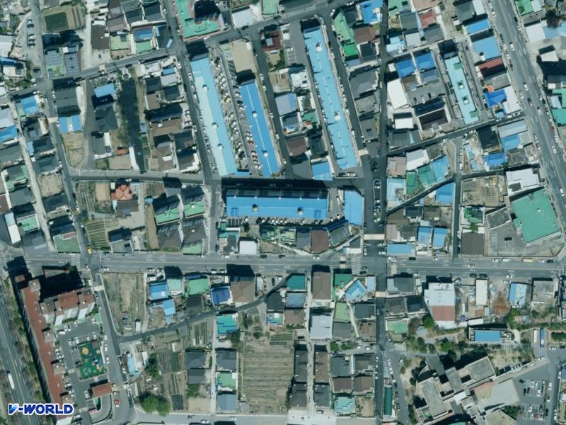 동백 항공사진