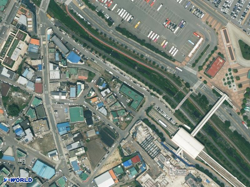 장미 항공사진