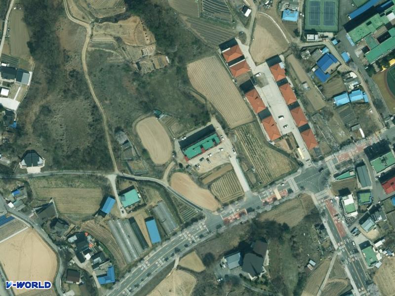 심종 항공사진