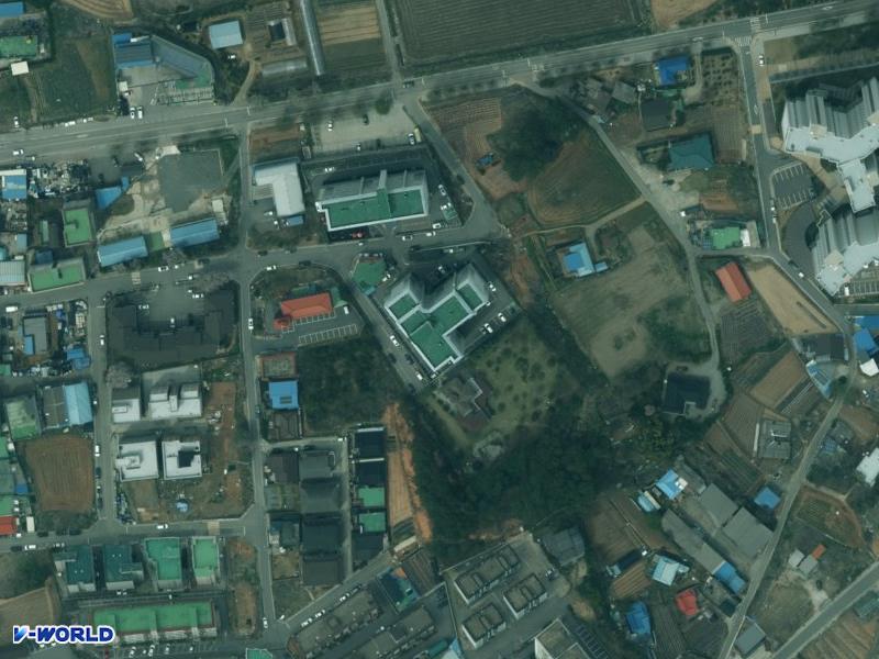 장미(나동) 항공사진