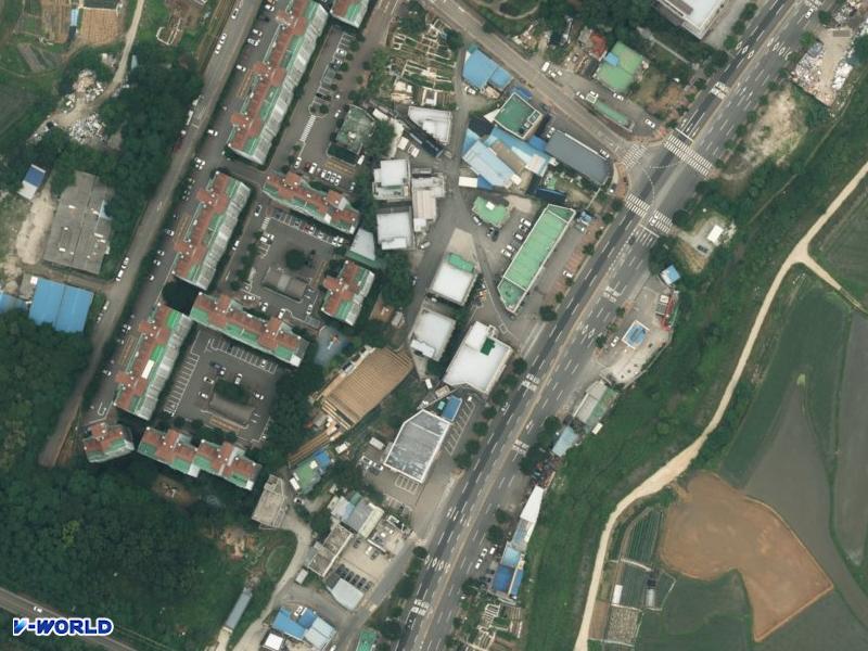 지성 항공사진