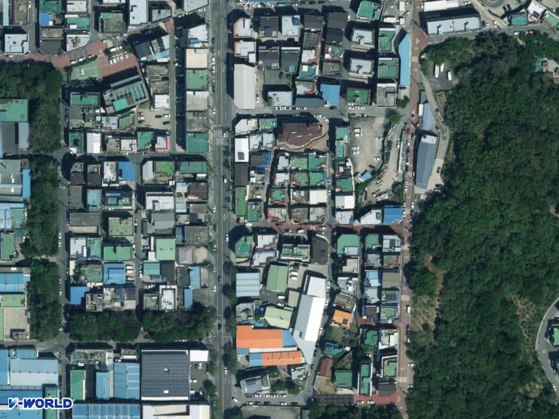 장기동 143-13 항공사진