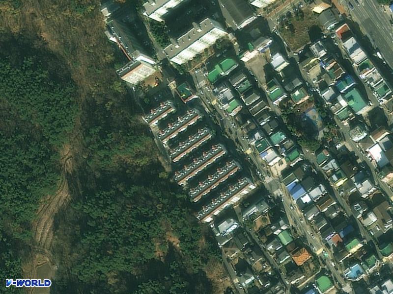 삼호 항공사진