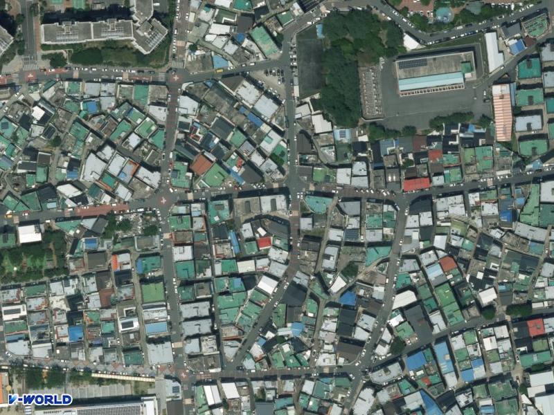 장미 항공사진