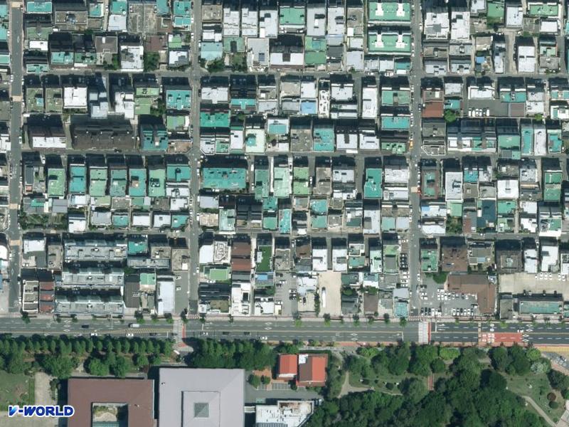 로즈마리 항공사진