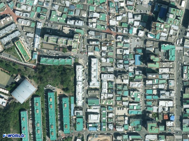 목련 항공사진