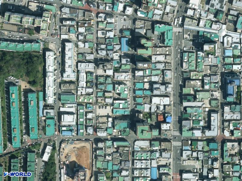 목련 항공사진