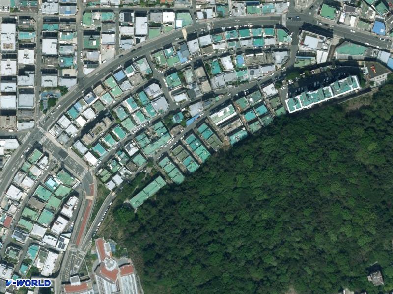 대성 항공사진