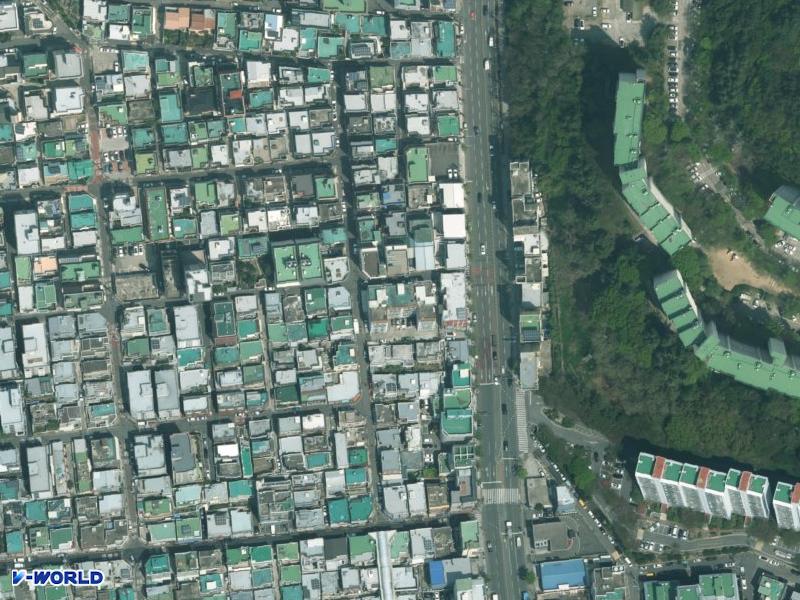 백조 항공사진