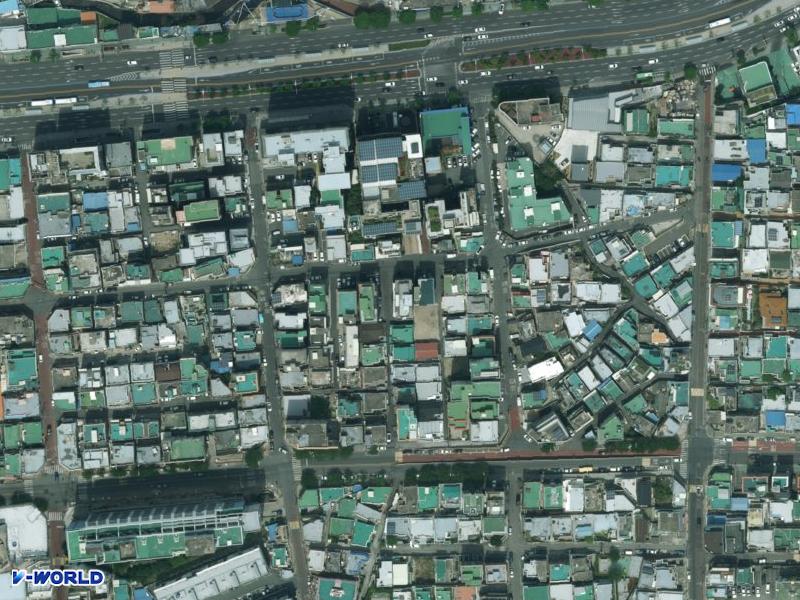 더 숲 항공사진