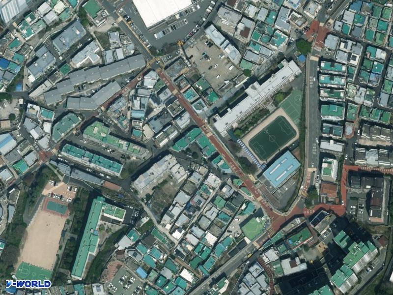 신일 항공사진