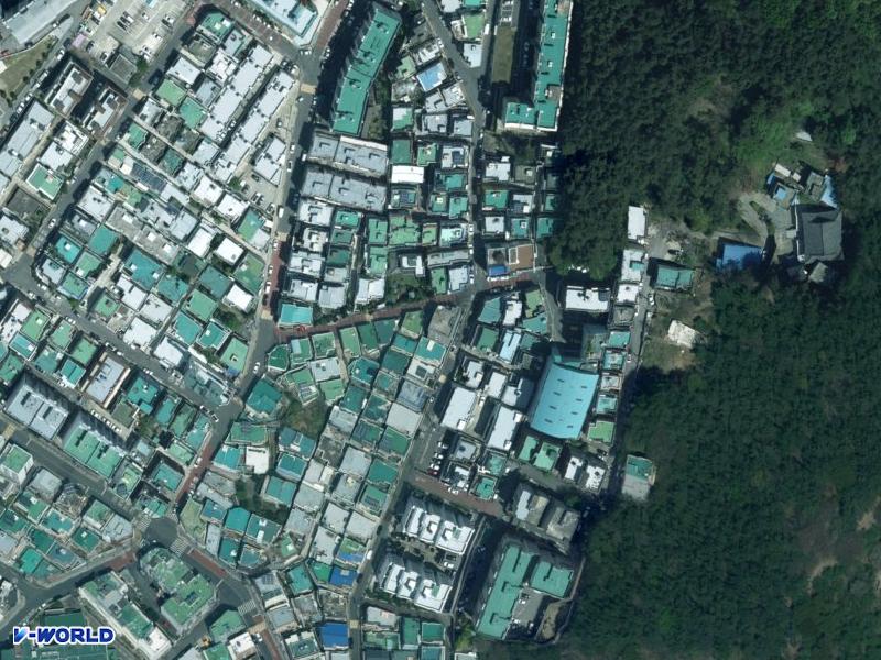 모닝하우스 항공사진