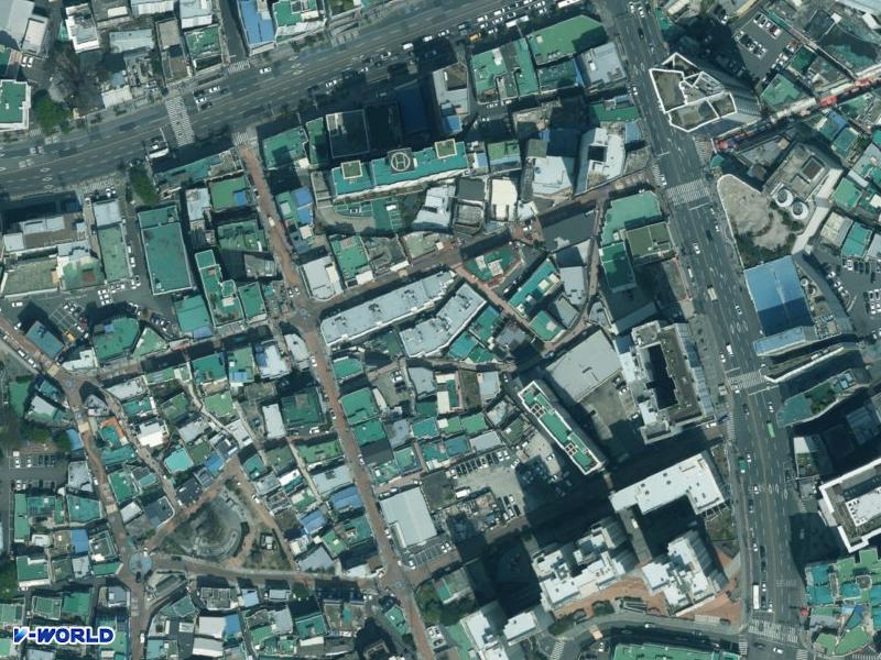 오성장미 항공사진