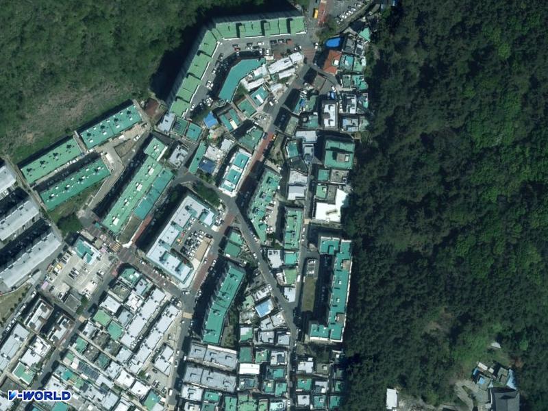 장미 항공사진