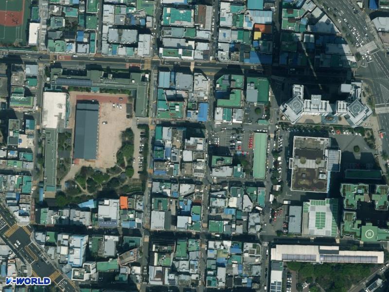 트레저 항공사진