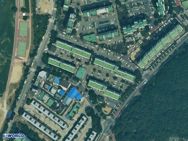 백목련 항공사진