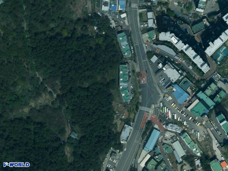 공원 항공사진